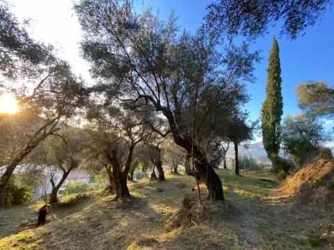 Prodaja, plac, 3770m², Zaljevo, Bar - image 3