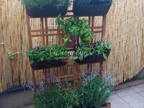 Sale, one bedroom apartment, 34m², Kluz, Zvezdara Sve Podlokacije - image 8