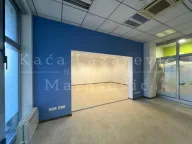 Izdavanje, poslovni prostor, 387m², Novi Beograd Sve Podlokacije, Beograd - image 4