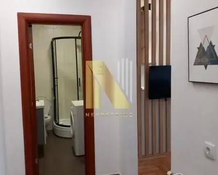 Izdavanje, jednosoban stan, 45m², Grbavica, Novi Sad Sve Podlokacije - image 16