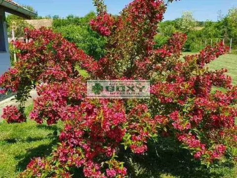 Prodaja, kuća, 1218m², Vrnjačka Banja, Srbija - image 6