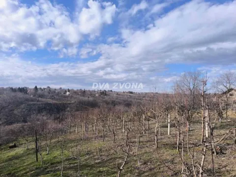 Prodaja, plac, 700m², Čortanovci, Inđija - image 2