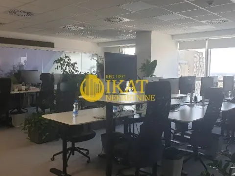 Izdavanje, poslovni prostor, 289m², Tašmajdan, Palilula Sve Podlokacije - image 3