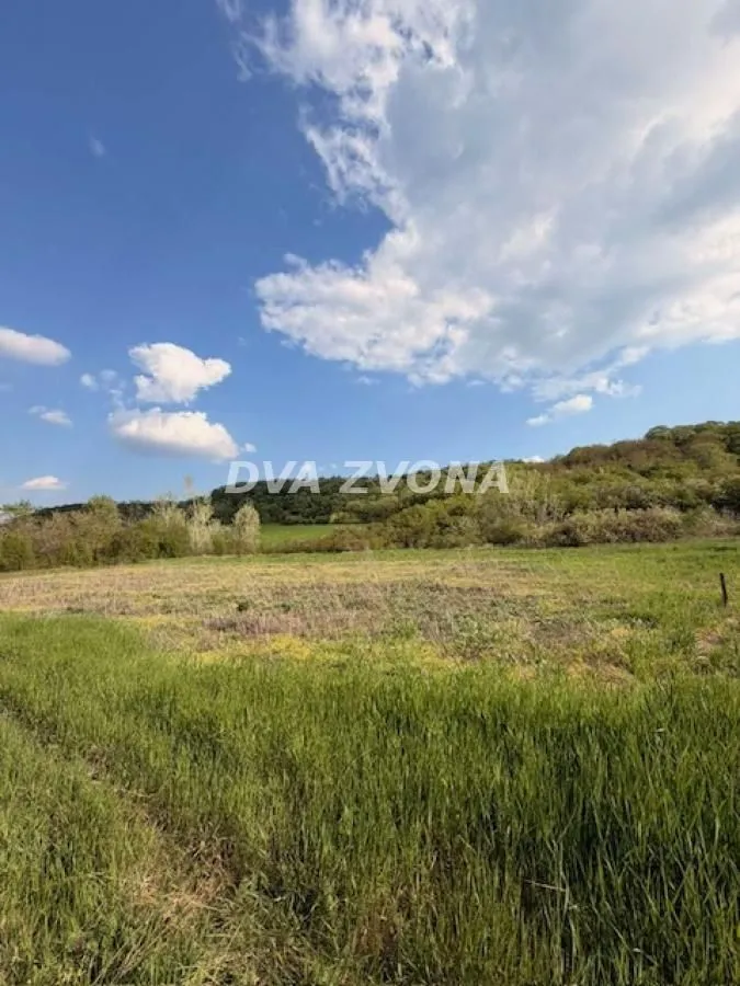 Prodaja, plac, 3500m², Čortanovci, Inđija