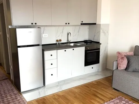 Rent, apartment, 34m², Zabjelo, Podgorica - image 3