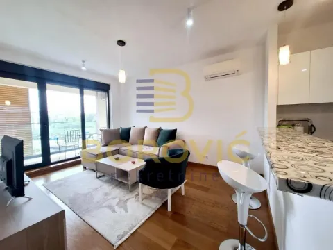Rent, two bedroom apartment, 44m², Vračar Sve Podlokacije, Beograd - image 5