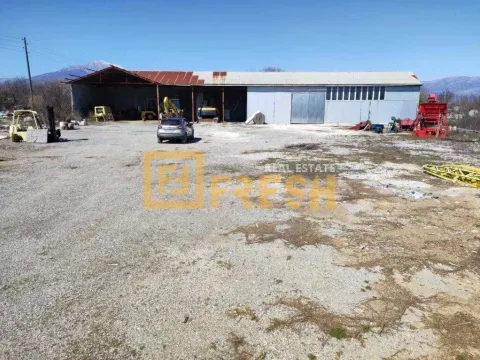 Prodaja, poslovni prostor, 450m², Ostalo, Podgorica