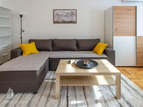 Izdavanje, dvosoban stan, 40m², Zvezdara Sve Podlokacije, Beograd - image 6