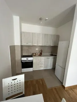 Izdavanje, jednosoban stan, 45m², City Kej, Podgorica - image 8