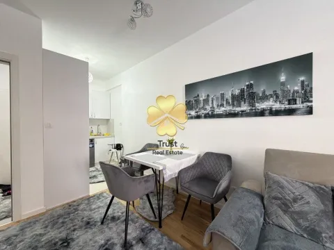 Izdavanje, jednosoban stan, 45m², Stari Aerodrom, Podgorica - image 3