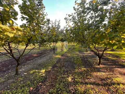 Sale, land lot, 190m², Kikinda, Srbija - image 7