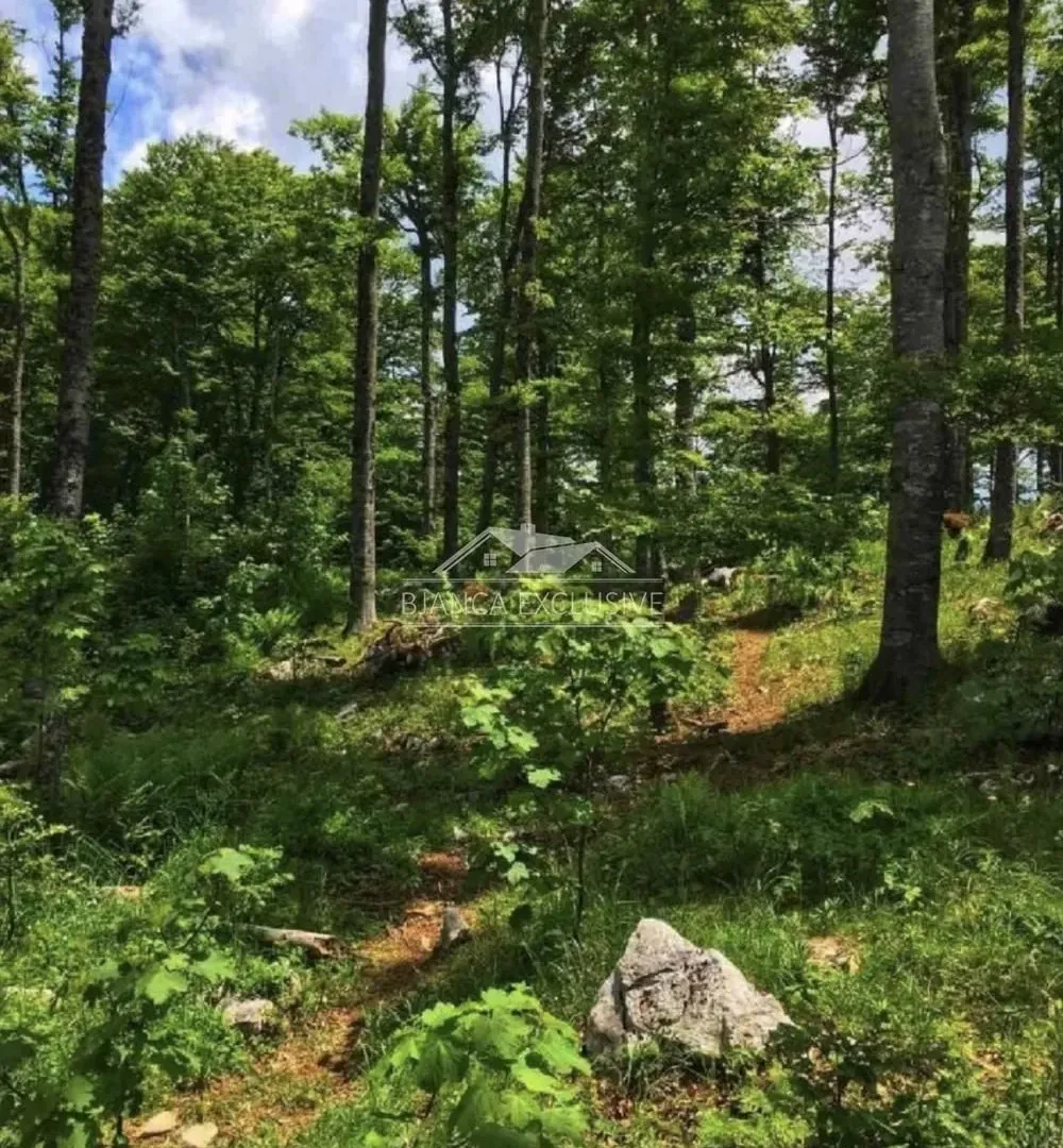 Prodaja, plac, 20000m², Mokra gora, Tara