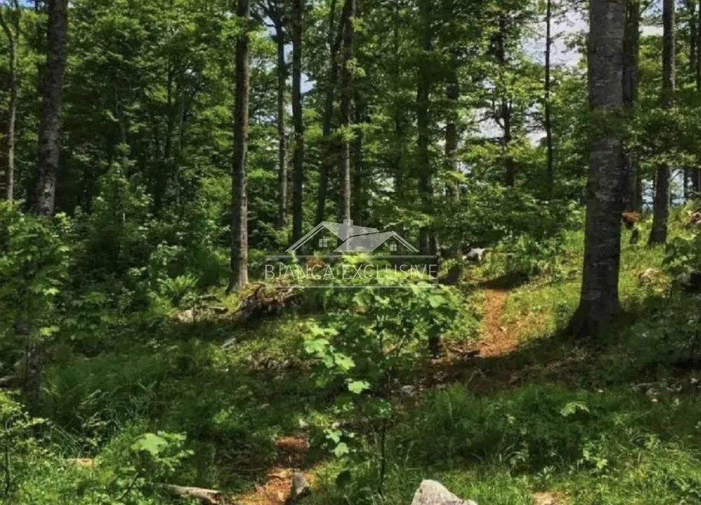 Prodaja, plac, 20000m², Mokra gora, Tara