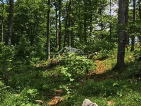 Sale, land lot, Mokra gora, Tara