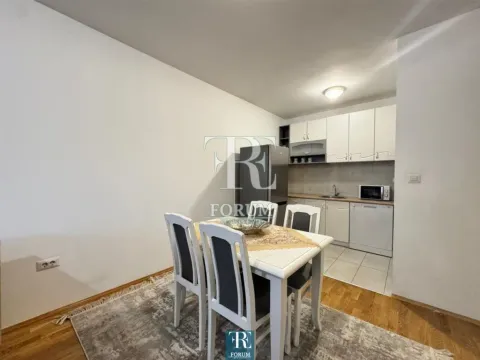 Izdavanje, jednosoban stan, 50m², Stari Aerodrom, Podgorica - image 4