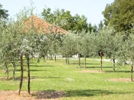 Prodaja, kuća, 122m², Golubovci, Podgorica - image 3