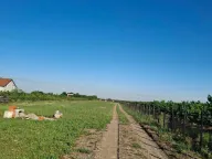 Sale, land lot, 465m², Bečmen, Surčin
