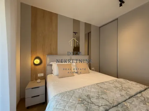 Rent, one bedroom apartment, 46m², Podgorica, Crna Gora - image 3