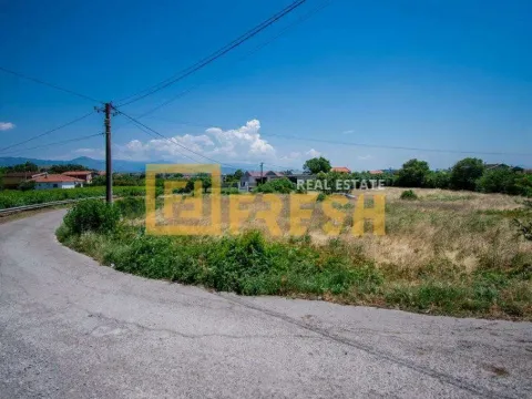 Prodaja, plac, 1475m², Farmaci, Podgorica - image 7