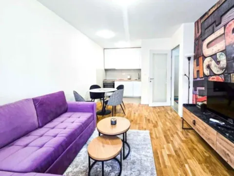 Rent, apartment, 44m², Gintaš, Podgorica - image 6