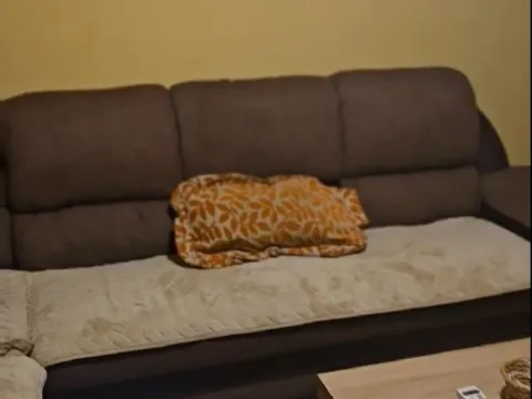 Sale, one bedroom apartment, 56m², Centar, Podgorica - image 11