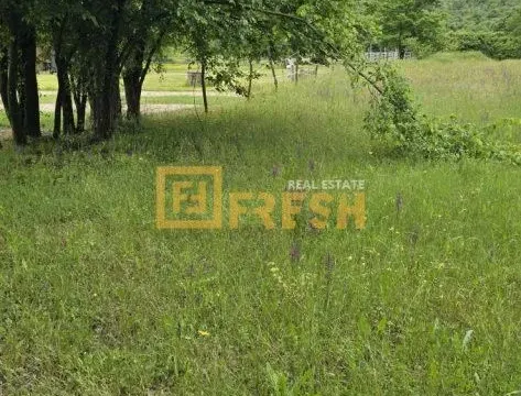 Prodaja, plac, 3500m², Danilovgrad, Crna Gora - image 2