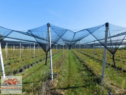 Sale, land lot, 350m², Kragujevac, Srbija - image 2