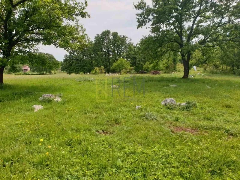 Prodaja, plac, 12000m², Spuž, Danilovgrad