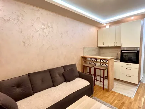 Rent, studio apartment, 24m², Zabjelo, Podgorica - image 5