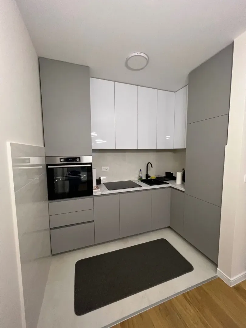 Izdavanje, jednosoban stan, 49m², Central Point, Podgorica