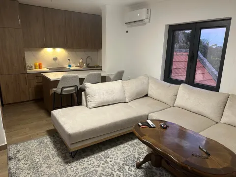 Rent, one bedroom apartment, 45m², Virpazar, Bar - image 4