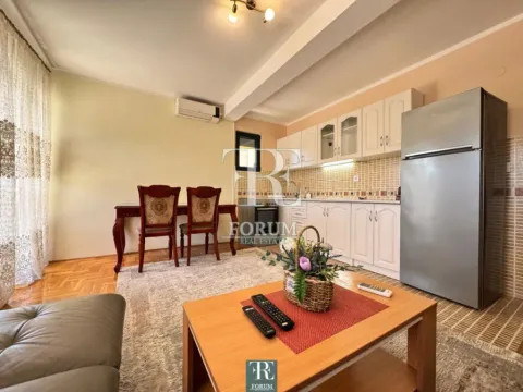 Izdavanje, jednosoban stan, 47m², Stari Aerodrom, Podgorica