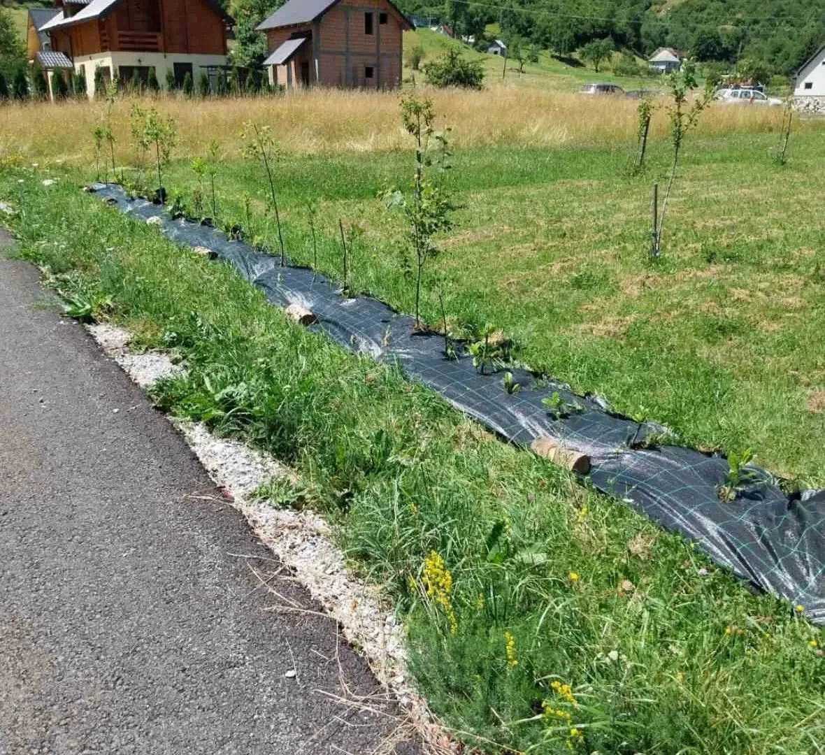 Prodaja, plac, 600m², Kolašin, Crna Gora