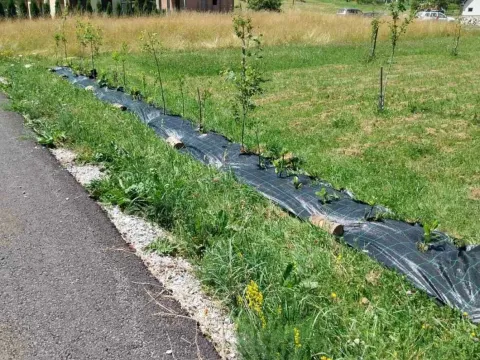 Prodaja, plac, 600m², Kolašin, Crna Gora - image 2