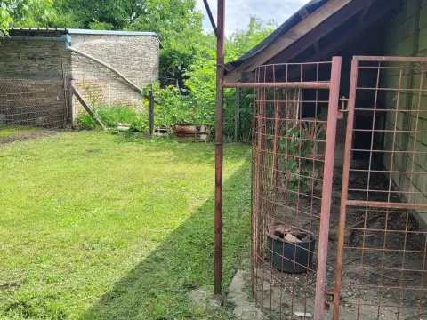 Prodaja, kuća, 210m², Bečej, Novi Sad - image 10