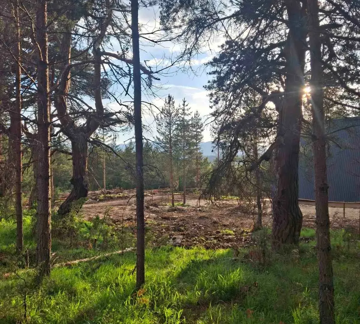 Prodaja, plac, 1150m², Žabljak, Crna Gora