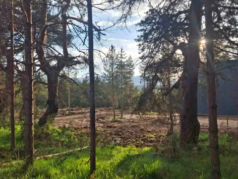 Prodaja, plac, 1150m², Žabljak, Crna Gora - image 7