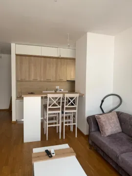 Dnevni boravak sa kuhinjom i šankom. - image 3