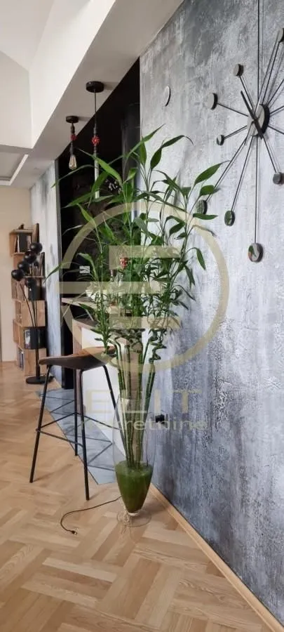 Living room with a modern wall finish, decorative clock, and green plant.