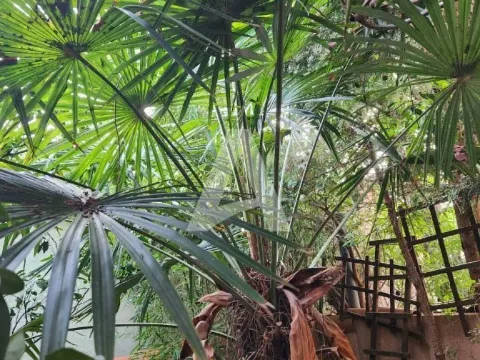 Sale, house, 198m², Šušanj, Bar - image 6