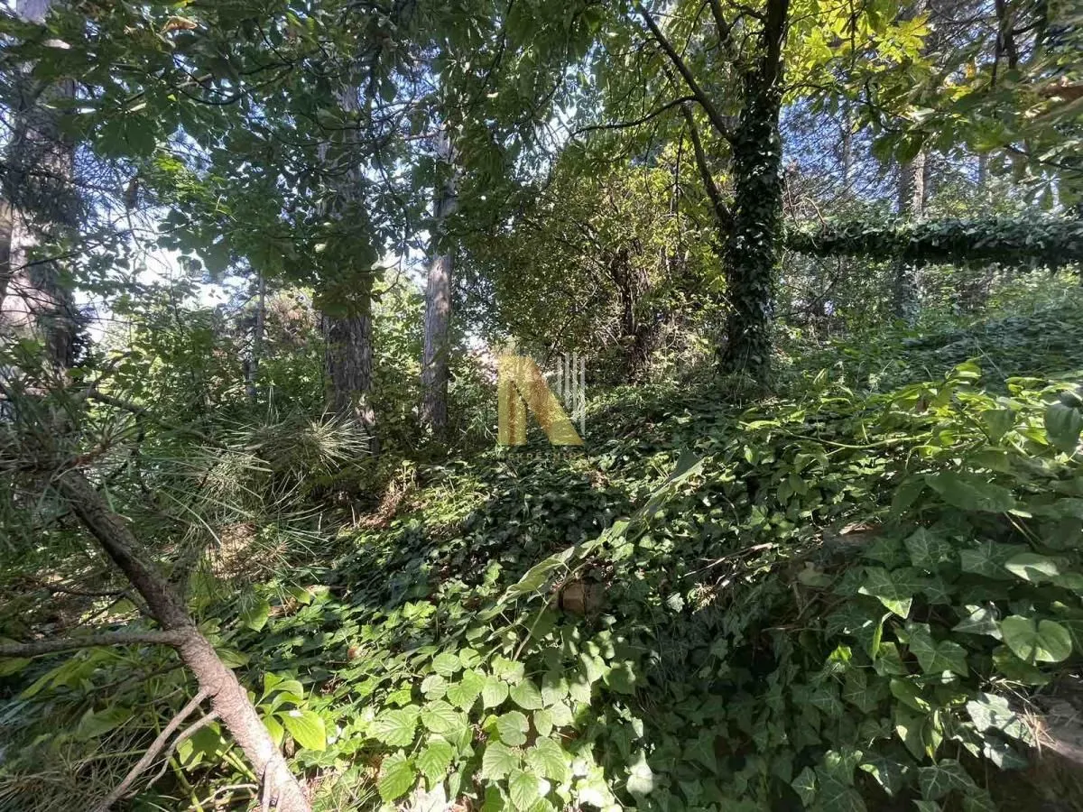 Prodaja, kuća, 71m², Rakovac, Novi Sad Sve Podlokacije