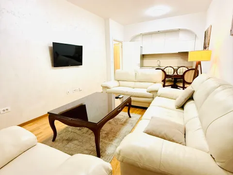 Rent, one bedroom apartment, 45m², Zabjelo, Podgorica - image 4