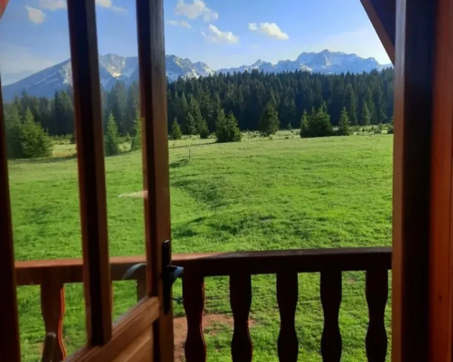 Prodaja, plac, 4000m², Uskoci, Žabljak