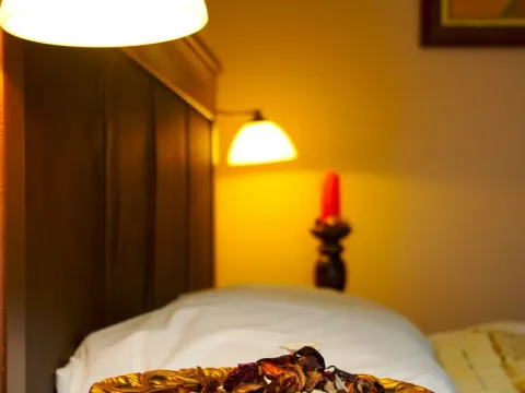 Prodaja, kuća, 1400m², Zlatibor, Srbija - image 17