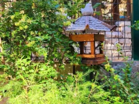 Prodaja, kuća, 67m², Petrovac, Budva - image 31