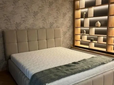 Izdavanje, jednosoban stan, 70m², Vračar Hram, Vračar Sve Podlokacije - image 13