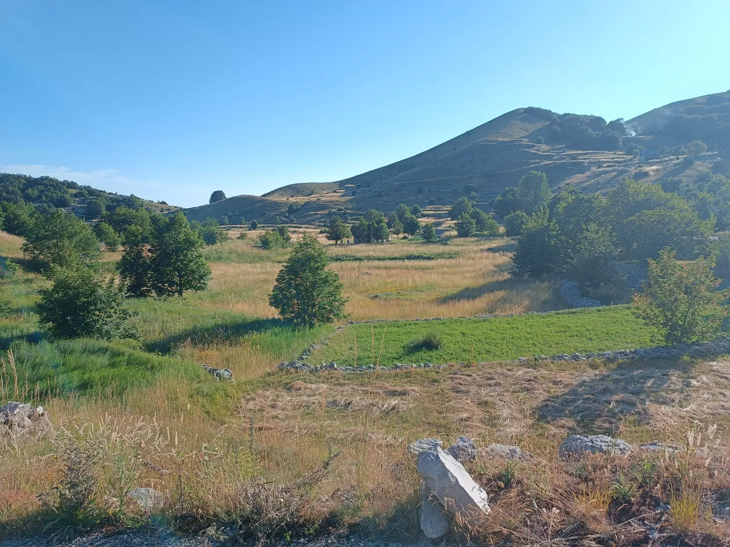 Prodaja, plac, 9000m², Ivanova Korita, Cetinje