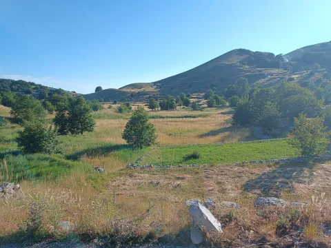 Prodaja, plac, 9000m², Ivanova Korita, Cetinje - image 13