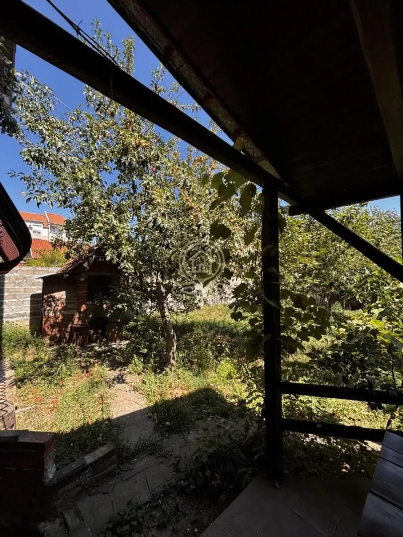 View from the covered terrace onto the green yard with an orchard.