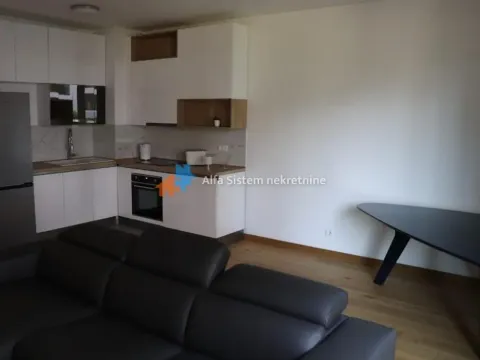 Izdavanje, dvosoban stan, 54m², Novi Beograd Blok 65, Novi Beograd Sve Podlokacije - image 2